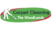 TX The Woodlands Carpet Cleaning