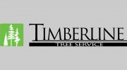 Trtimberline
