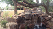 Yardman Landscaping