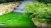Sacco's Landscape
