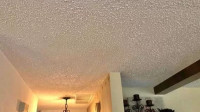 Plaster Repair