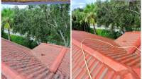 Roof Cleaning / Soft Washing