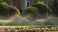 Lawn Sprinkler System Contractor
