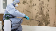Bio-3 Environmental Service