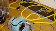 AAA Flood Drying