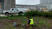 Stormwater Management
