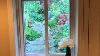 Window Well Picture Scenes