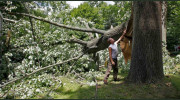 Flaherty Tree Service