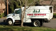 J & J Tree Service